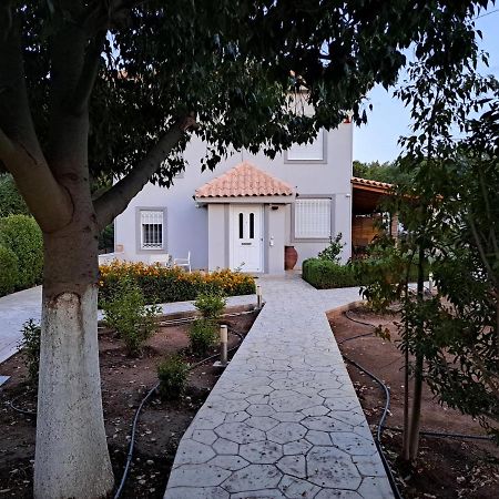 אנביסוס Studio Katafigi מראה חיצוני תמונה
